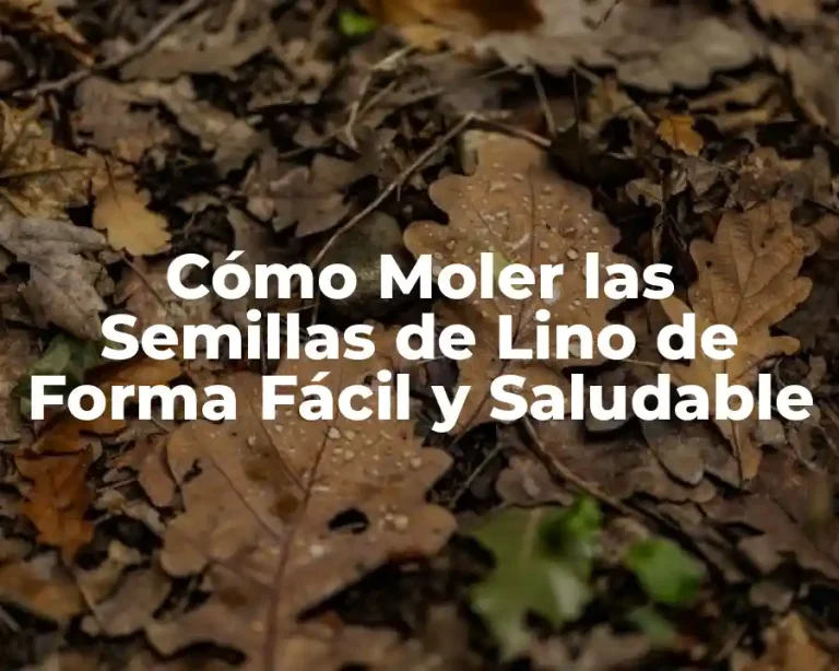 Cómo Moler las Semillas de Lino de Forma Fácil y Saludable