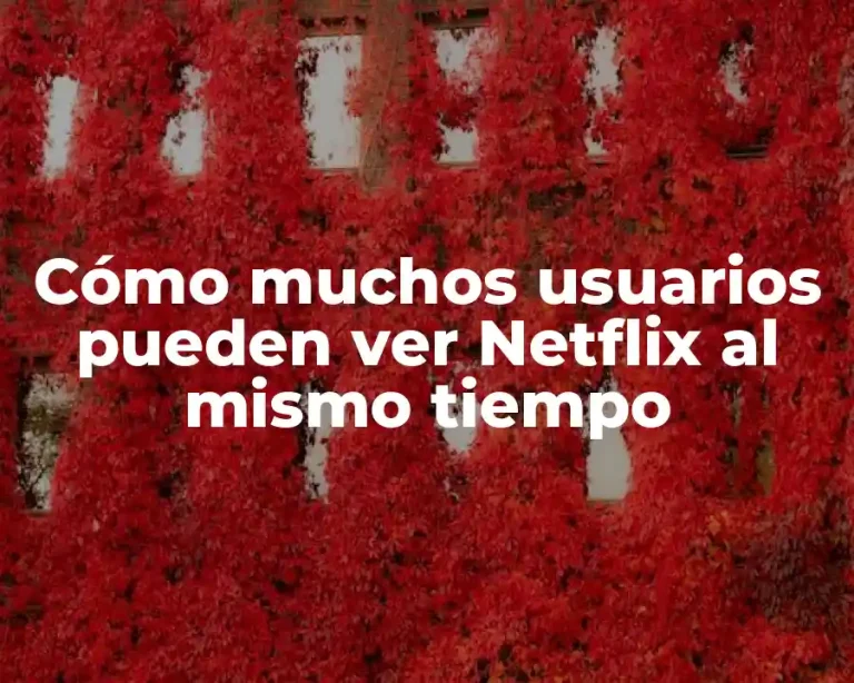 Cómo muchos usuarios pueden ver Netflix al mismo tiempo