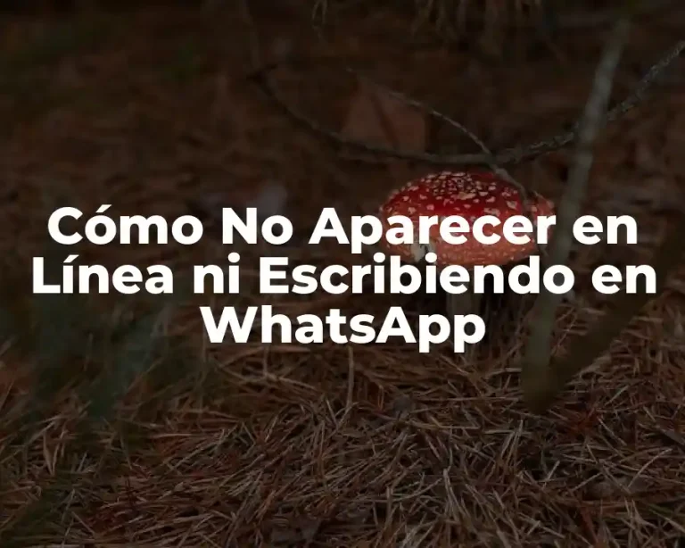 Cómo No Aparecer en Línea ni Escribiendo en WhatsApp