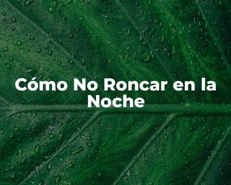 Cómo No Roncar en la Noche