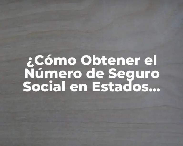 ¿Cómo Obtener el Número de Seguro Social en Estados Unidos?