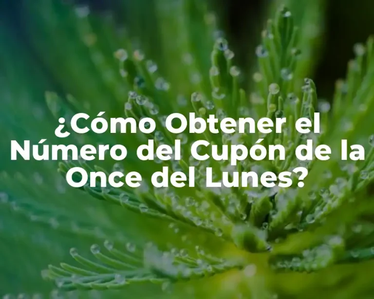 ¿Cómo Obtener el Número del Cupón de la Once del Lunes?