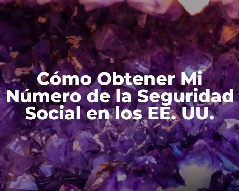 Cómo Obtener Mi Número de la Seguridad Social en los EE. UU.