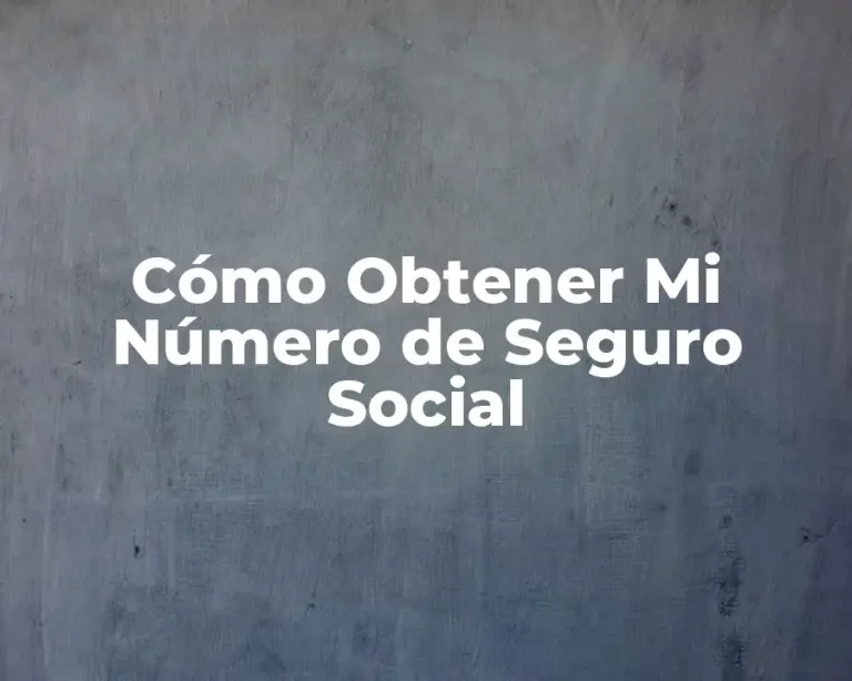 Cómo Obtener Mi Número de Seguro Social