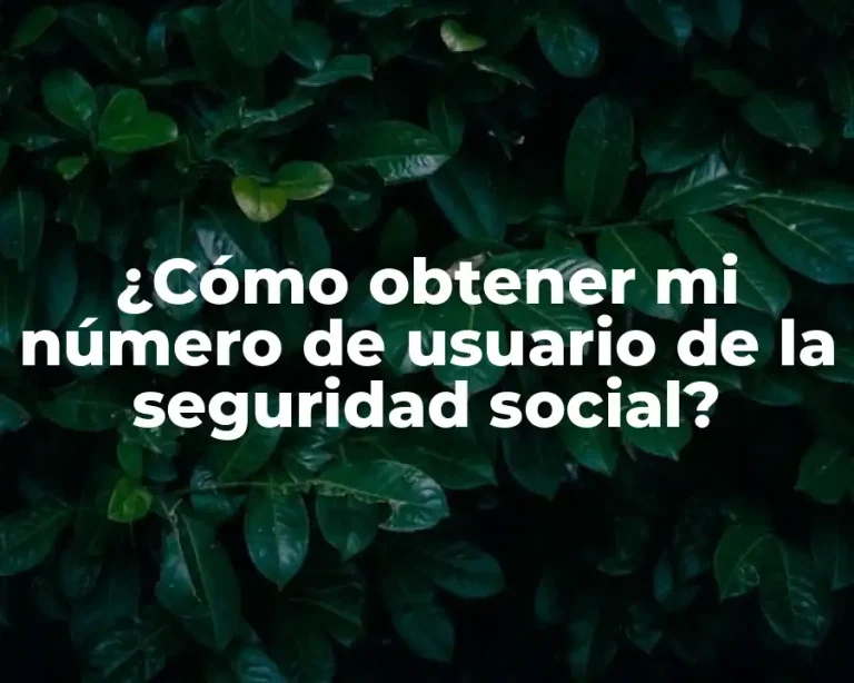 ¿Cómo obtener mi número de usuario de la seguridad social?