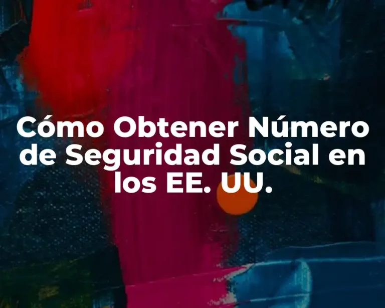 Cómo Obtener Número de Seguridad Social en los EE. UU.