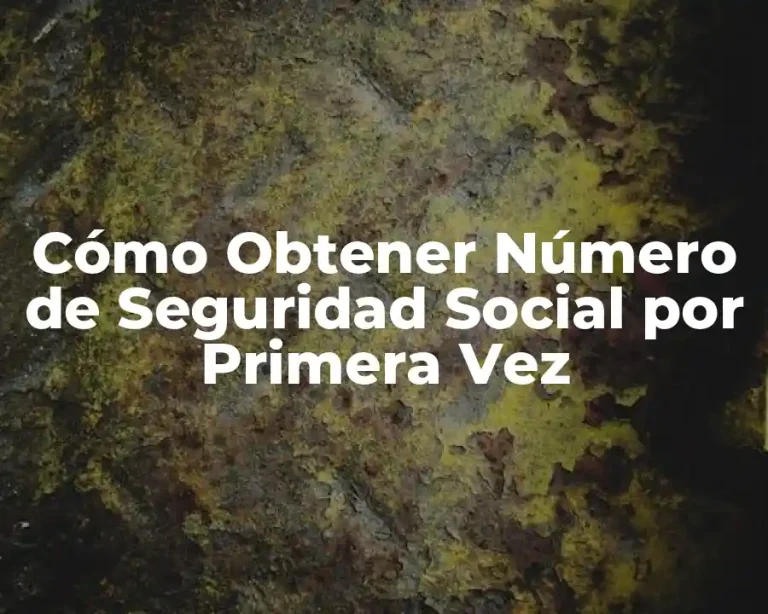 Cómo Obtener Número de Seguridad Social por Primera Vez