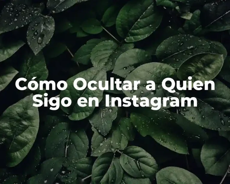 Cómo Ocultar a Quien Sigo en Instagram