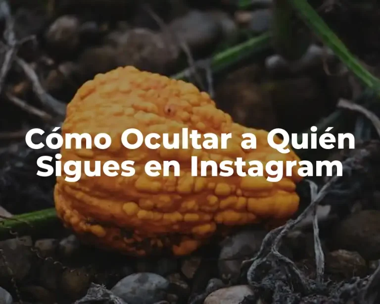 Cómo Ocultar a Quién Sigues en Instagram