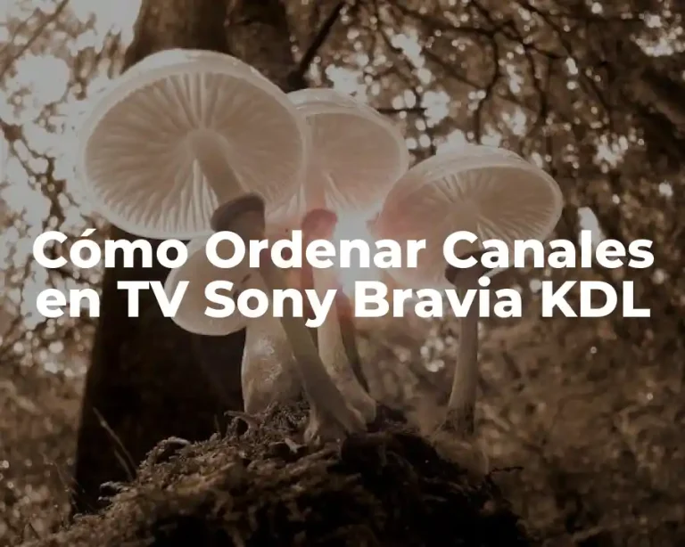 Cómo Ordenar Canales en TV Sony Bravia KDL