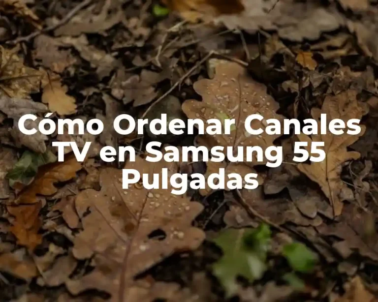 Cómo Ordenar Canales TV en Samsung 55 Pulgadas
