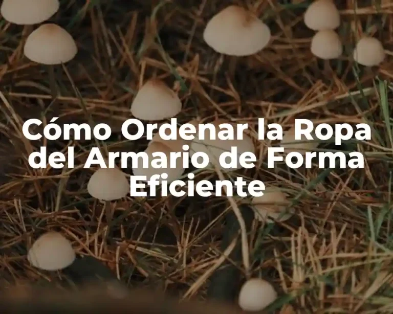 Cómo Ordenar la Ropa del Armario de Forma Eficiente