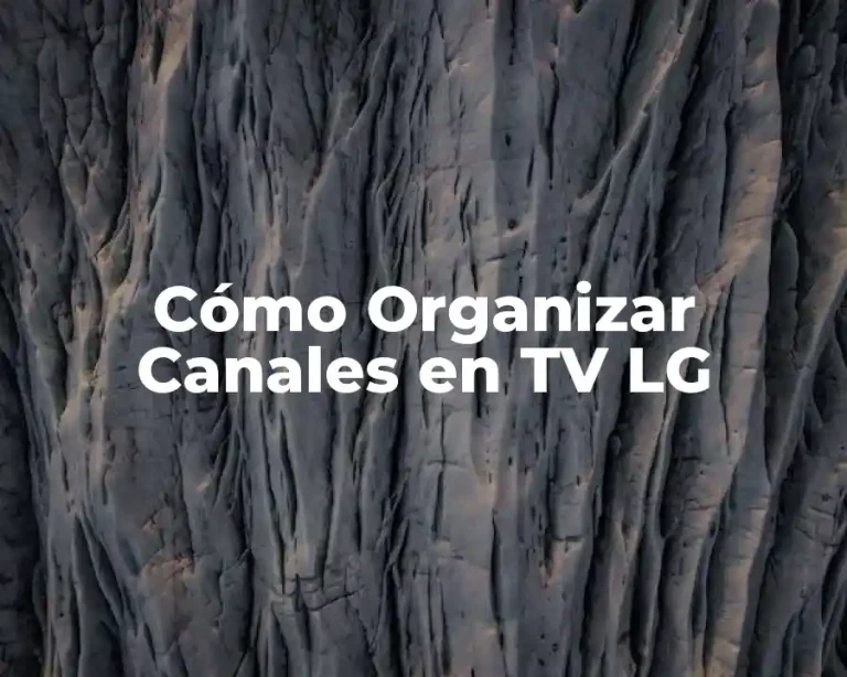 Cómo Organizar Canales en TV LG