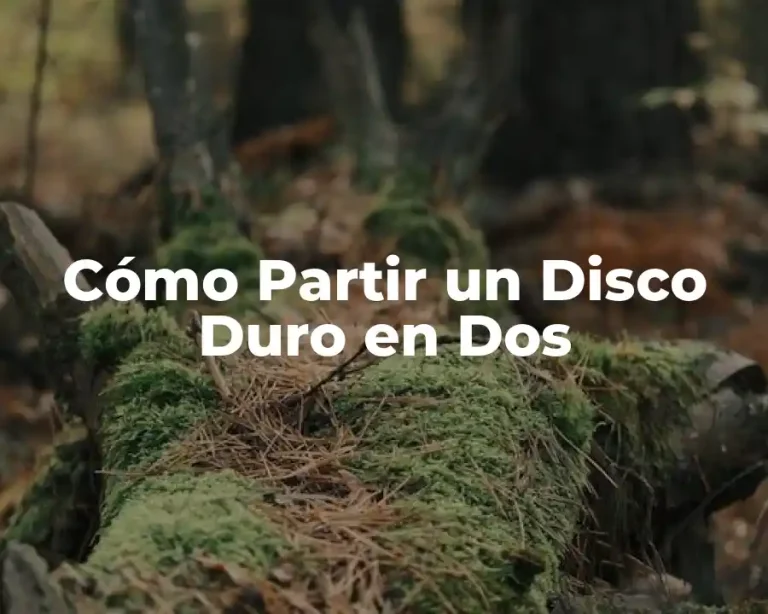 Cómo Partir un Disco Duro en Dos