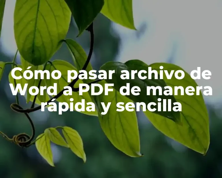 Cómo pasar archivo de Word a PDF de manera rápida y sencilla