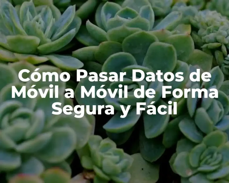 Cómo Pasar Datos de Móvil a Móvil de Forma Segura y Fácil
