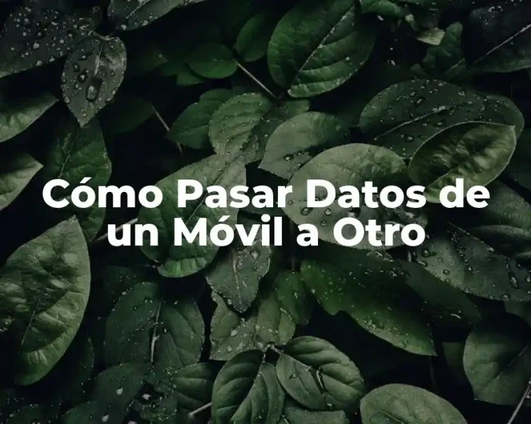 Cómo Pasar Datos de un Móvil a Otro