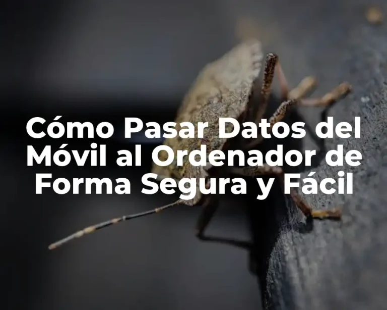 Cómo Pasar Datos del Móvil al Ordenador de Forma Segura y Fácil