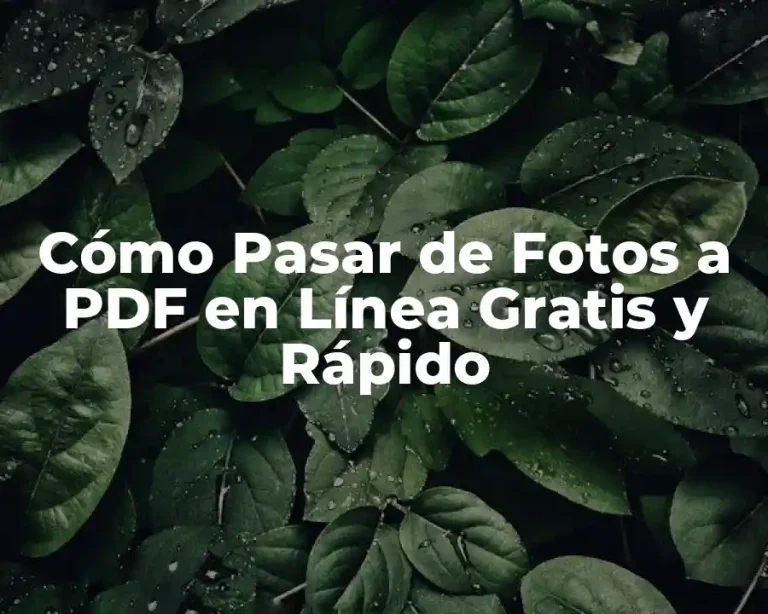 Cómo Pasar de Fotos a PDF en Línea Gratis y Rápido