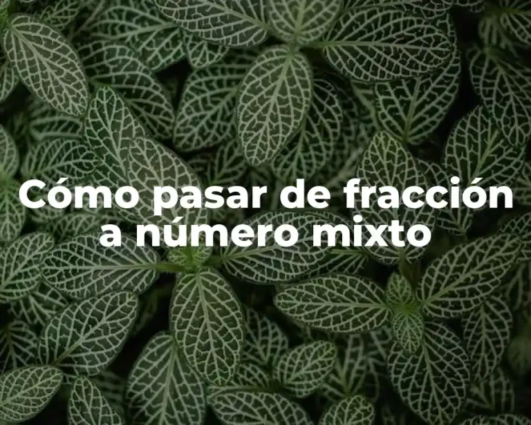 Cómo pasar de fracción a número mixto