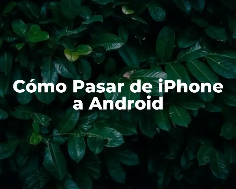 Cómo Pasar de iPhone a Android