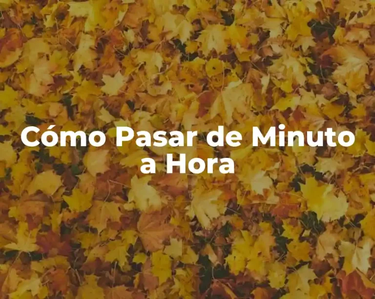 Cómo Pasar de Minuto a Hora