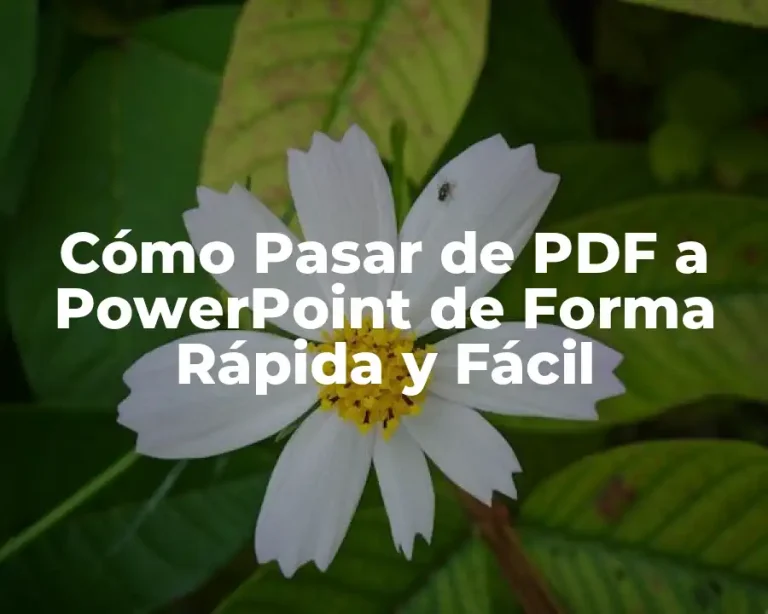 Cómo Pasar de PDF a PowerPoint de Forma Rápida y Fácil