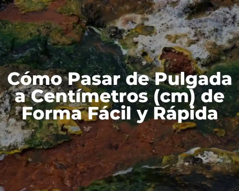 Cómo Pasar de Pulgada a Centímetros (cm) de Forma Fácil y Rápida