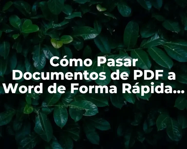 Cómo Pasar Documentos de PDF a Word de Forma Rápida y Fácil
