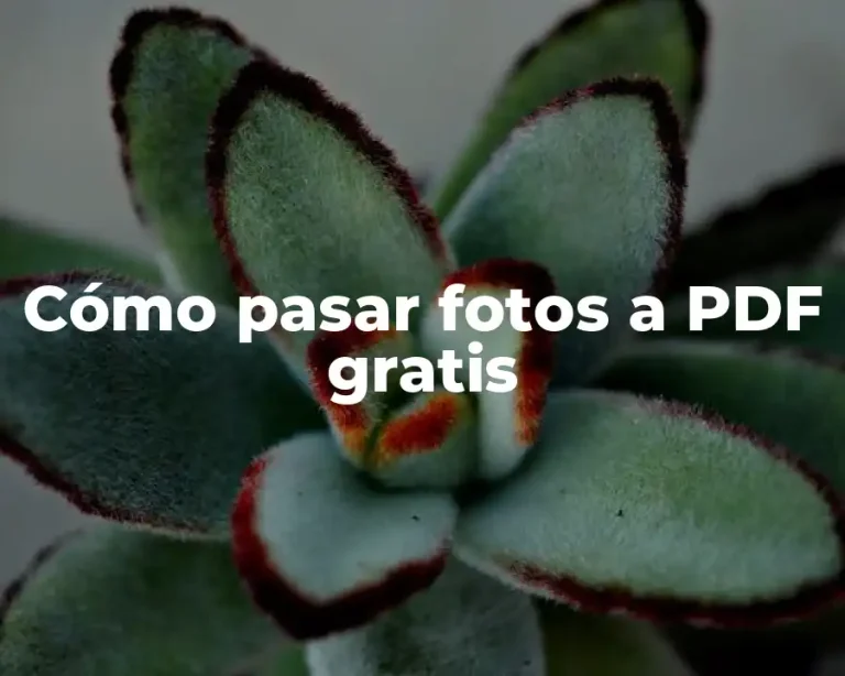 Cómo pasar fotos a PDF gratis