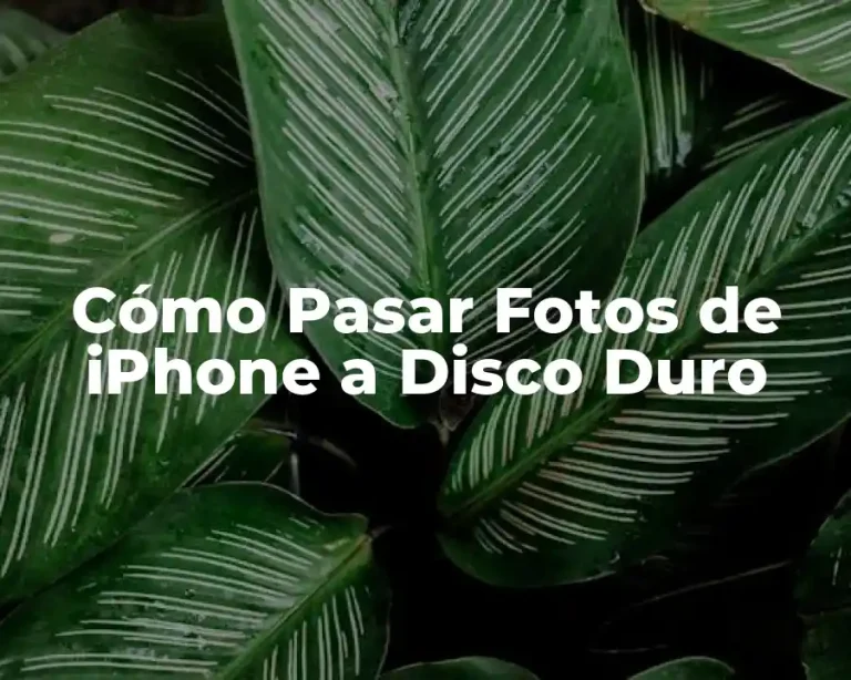 Cómo Pasar Fotos de iPhone a Disco Duro
