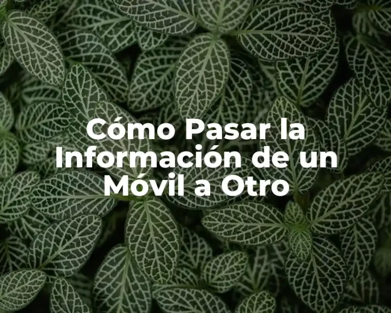 Cómo Pasar la Información de un Móvil a Otro