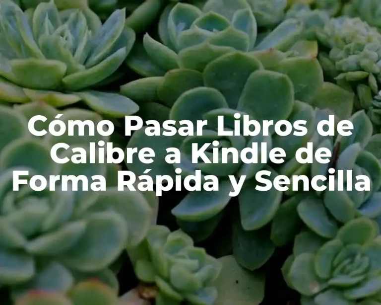 Cómo Pasar Libros de Calibre a Kindle de Forma Rápida y Sencilla