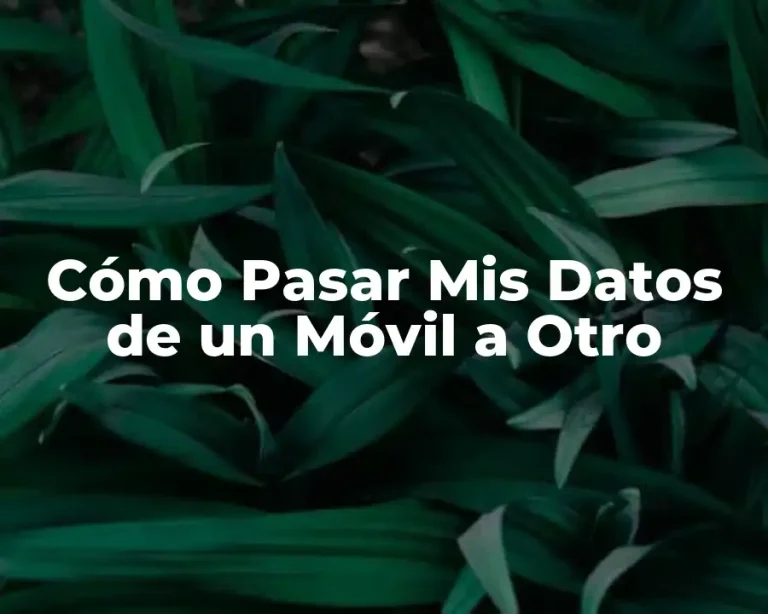Cómo Pasar Mis Datos de un Móvil a Otro