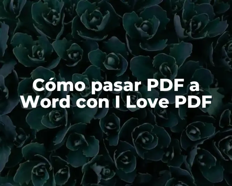 Cómo pasar PDF a Word con I Love PDF