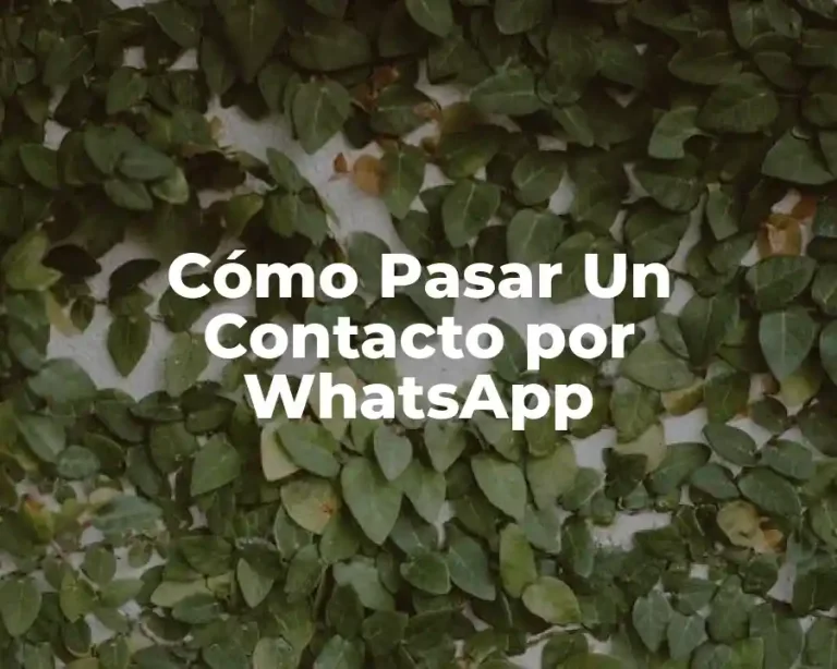 Cómo Pasar Un Contacto por WhatsApp