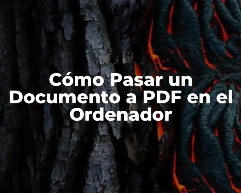 Cómo Pasar un Documento a PDF en el Ordenador