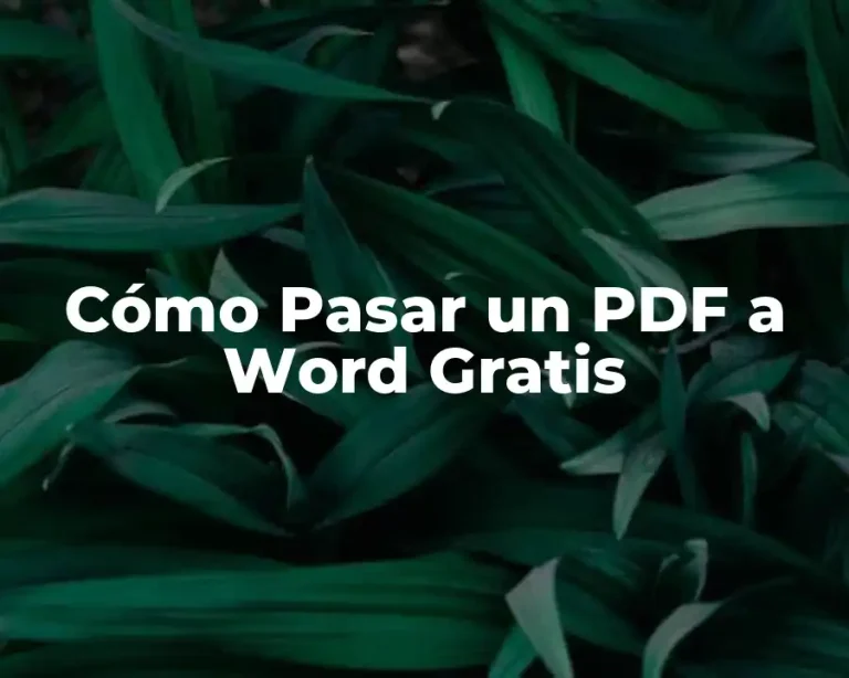 Cómo Pasar un PDF a Word Gratis