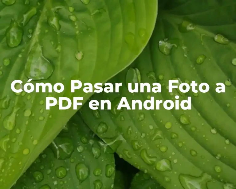 Cómo Pasar una Foto a PDF en Android