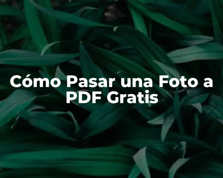 Cómo Pasar una Foto a PDF Gratis