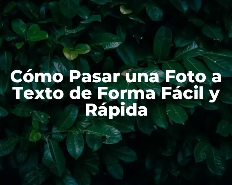 Cómo Pasar una Foto a Texto de Forma Fácil y Rápida