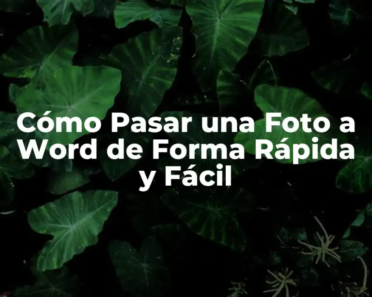 Cómo Pasar una Foto a Word de Forma Rápida y Fácil