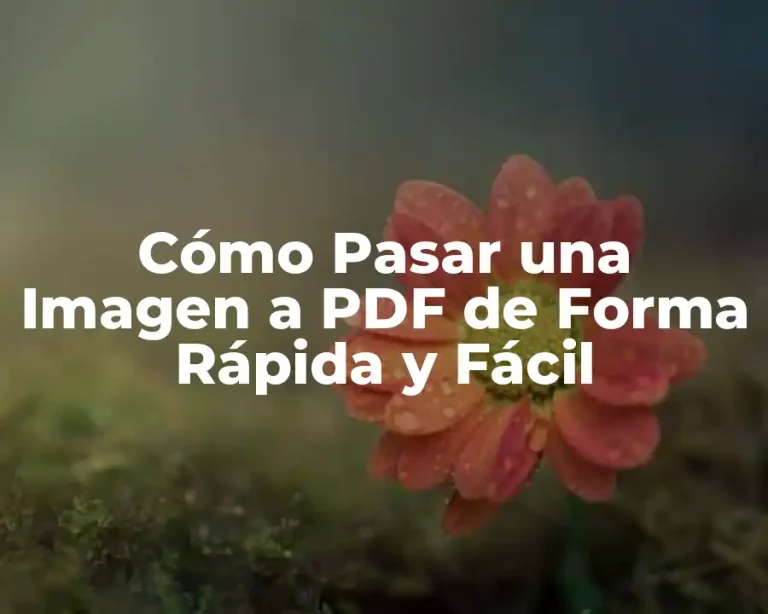Cómo Pasar una Imagen a PDF de Forma Rápida y Fácil