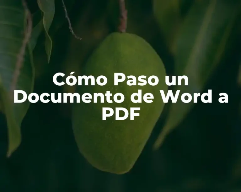 Cómo Paso un Documento de Word a PDF