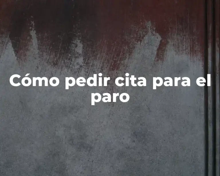 Cómo pedir cita para el paro