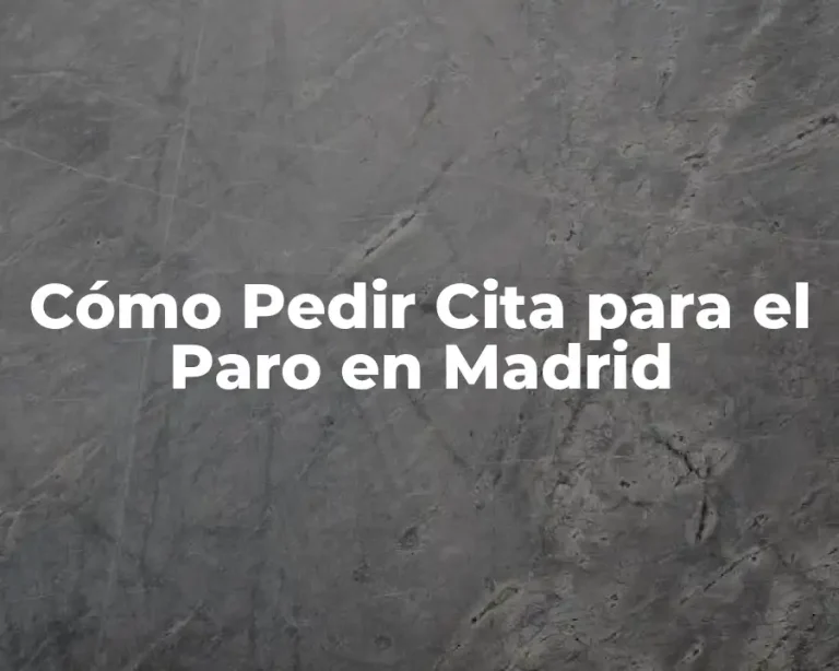 Cómo Pedir Cita para el Paro en Madrid