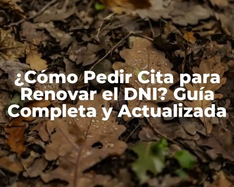 ¿Cómo Pedir Cita para Renovar el DNI? Guía Completa y Actualizada