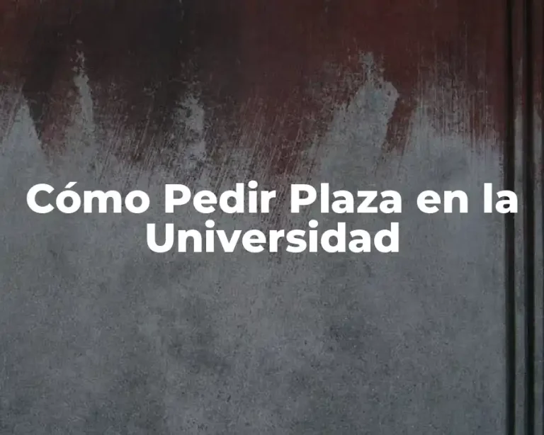 Cómo Pedir Plaza en la Universidad