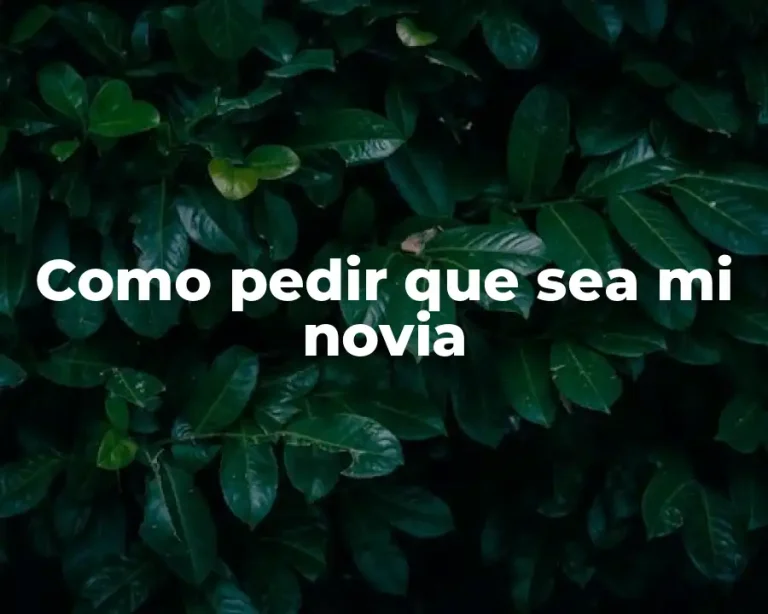 Como pedir que sea mi novia