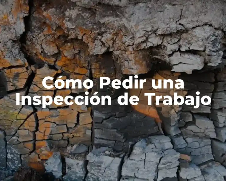 Cómo Pedir una Inspección de Trabajo